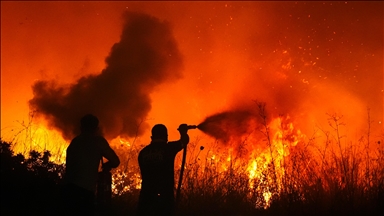 Firefighters battle devastating wildfires across Europe