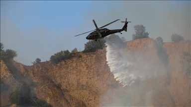 Турция в числе лидеров в сфере эффективной борьбы с лесными пожарами