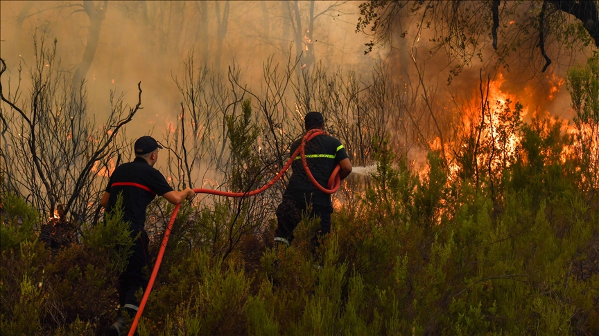 Fas'ta kuraklık nedeniyle tarımın azalması ve vahaların ihmal edilmesi yangınları tetikliyor