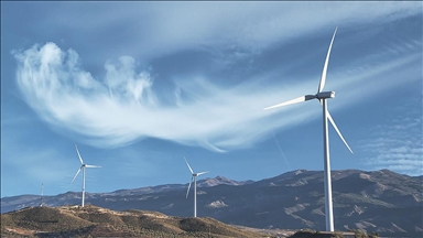 Ветроэнергетика вносит значимый вклад в экономику Турции