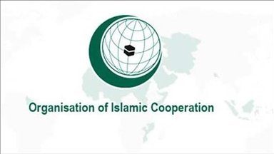Le Pakistan exhorte l'Organisation de la coopération islamique à élaborer une « stratégie unifiée » face à Israël