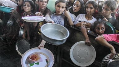 ООН: В 2023 году в мире голодал каждый 11-й человек