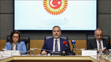 Глава МИД Турции выступил с докладом в парламенте страны