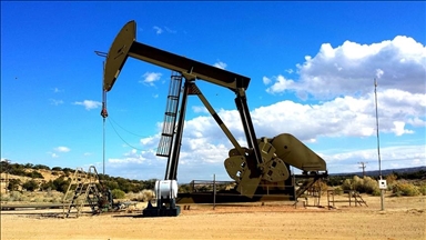 قیمت نفت خام برنت به 81.14 دلار رسید