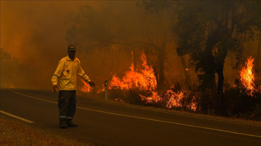 Morocco continues to battle forest fire amid heatwave