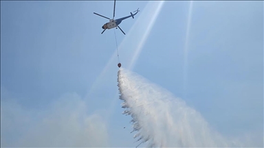 İzmir Dikili'de çıkan orman yangını kontrol altına alındı