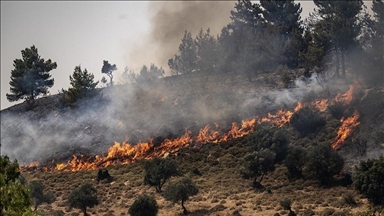 حريقان جراء قصف إسرائيل جنوب لبنان 