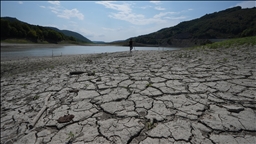 Batı Karadeniz'de mevsimsel kuraklık tarımsal üretim alışkanlığında değişim sinyali veriyor