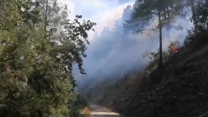 Kahramanmaraş'ta çıkan orman yangını kontrol altına alındı