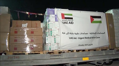 الإمارات تعلن وصول أكبر سفن مساعداتها لغزة إلى العريش المصرية