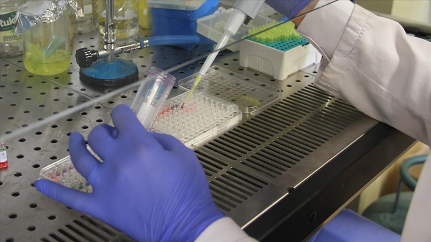 Researchers discover gene that protects brain from herpes