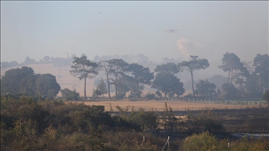 Çanakkale'nin Ayvacık ilçesinde çıkan orman yangını kontrol altına alındı