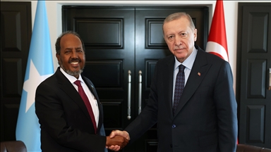 Turkish president, Somali counterpart discuss bilateral ties