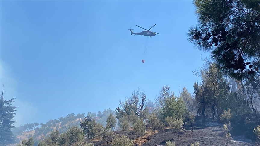 Kahramanmaraş'ta çıkan orman yangını kontrol altına alındı