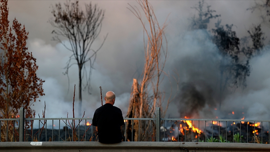Orman yangınları beyin üzerinde de olumsuz etkisi yaratıyor 