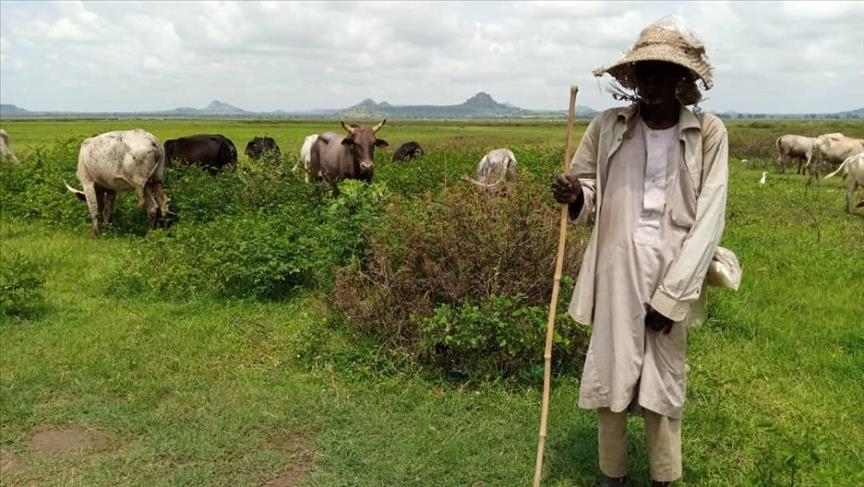 La FAO et l’UE signent un programme de 47 millions d’euros pour renforcer la résilience des éleveurs en Afrique de l’Est