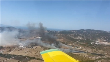 İzmir'in Foça ilçesinde otluk alanda çıkan yangın kontrol altına alındı