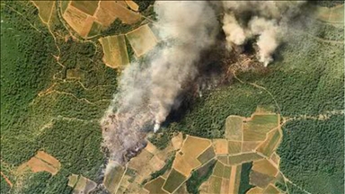 Fransa'nın güneyinde 65 hektarlık ormanlık alan kül oldu