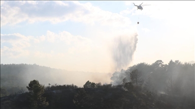 Denizli Çivril'de çıkan orman yangınına müdahale ediliyor