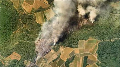 France : les flammes ravagent 65 hectares de zones forestières