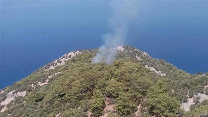 Muğla'nın Ortaca ilçesinde çıkan orman yangını söndürüldü