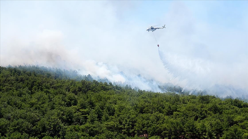 İzmir'in Urla ilçesinde çıkan orman yangını kontrol altında