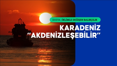 Sıcaklık artışıyla Karadeniz'e yayılan türler deniz ekosistemini tehdit ediyor