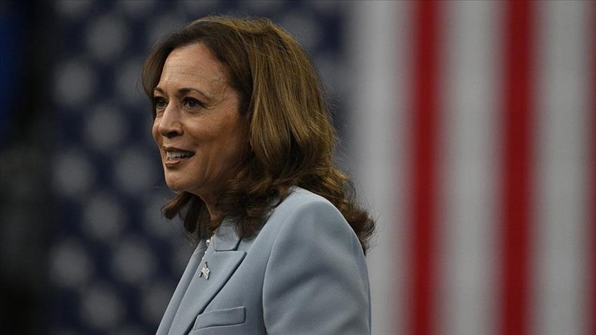 US Vice President Harris gets backing of over 100 venture capitalists