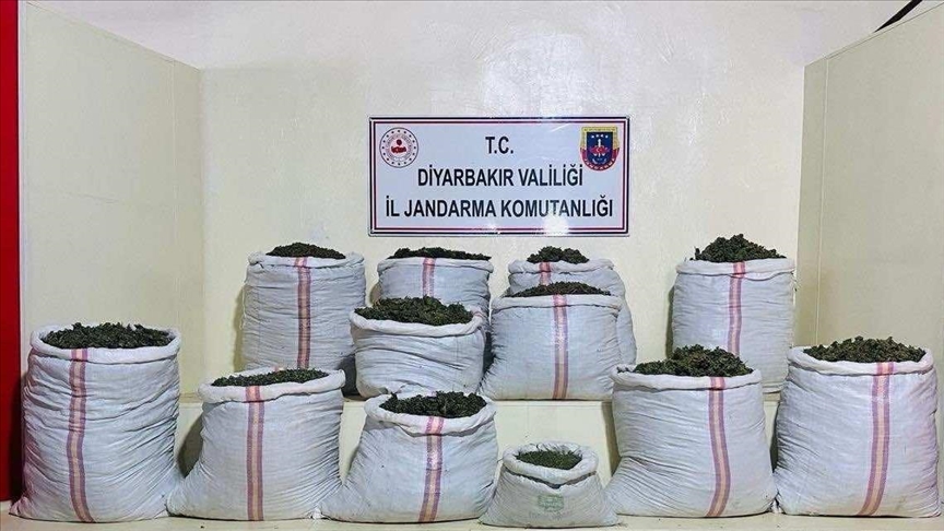 Diyarbakır'da 2 milyon 300 bin 500 kök kenevir ve 180 kilogram esrar ele geçirildi