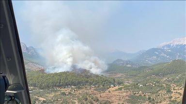 Antalya'nın Serik ilçesindeki orman yangını kontrol altına alındı