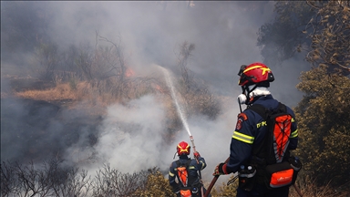 Yunanistan'da çıkan orman yangınına havadan ve karadan müdahale ediliyor