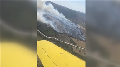 Manisa Salihli'de çıkan orman yangınına müdahale ediliyor