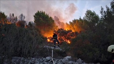 Hrvatska: Požarišta u Tučepima i Vrsinama i dalje pod nadzorom vatrogasaca