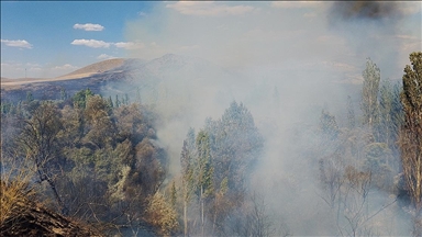 Sivas'ta ağaçlık alanda çıkan yangını söndürme çalışmaları sürüyor