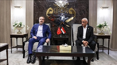 Глава МИД Турции встретился с губернатором Северного Синая