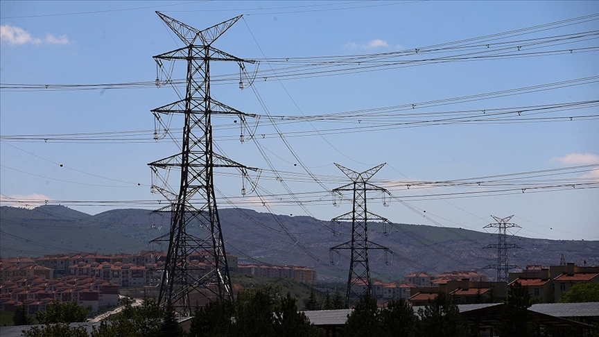 Temmuzda fiyatı en fazla artan ürün "elektrik", en çok düşen "patates" oldu