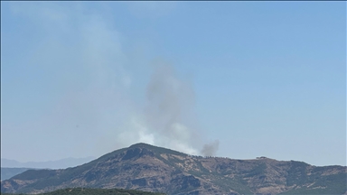 Tunceli'de ormanlık alanda çıkan yangına müdahale ediliyor