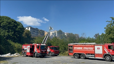 Avcılar'da otluk alanda çıkan yangın söndürüldü