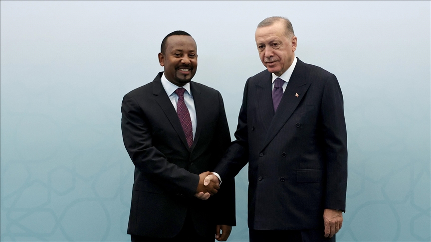 Turkish President Erdogan, Ethiopian premier discuss bilateral ties, global issues