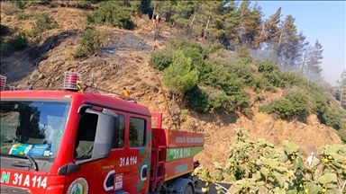 Hatay'da çıkan orman yangını kontrol altına alındı