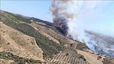 İzmir'de makilik alanda çıkan yangın kontrol altına alındı