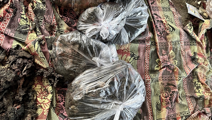 Collection of body parts in plastic bags from Gaza school strike highlights Israel’s brutality