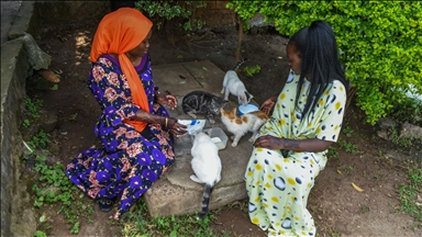 Nairobians hiss at ‘cat-astrophic’ feline levy