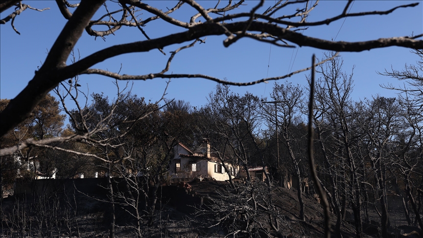 Grčka: Požari od 2017. godine uništili 37 posto šumskog područja oko Atine