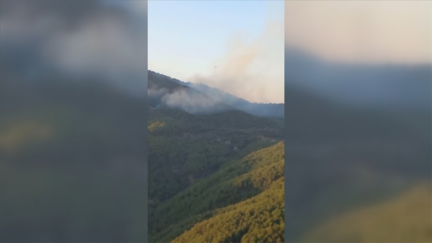 İzmir'in Karşıyaka ilçesinde çıkan orman yangını kontrol altına alındı