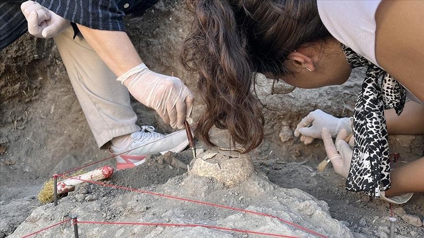 Турецкие археологи проливают свет на историю античного города Троя