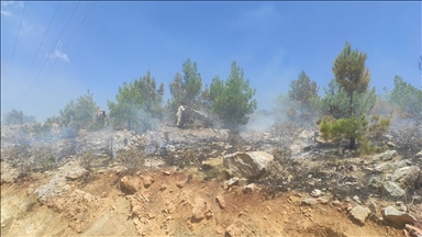 Mersin'de 4 noktada çıkan orman yangınları söndürüldü 