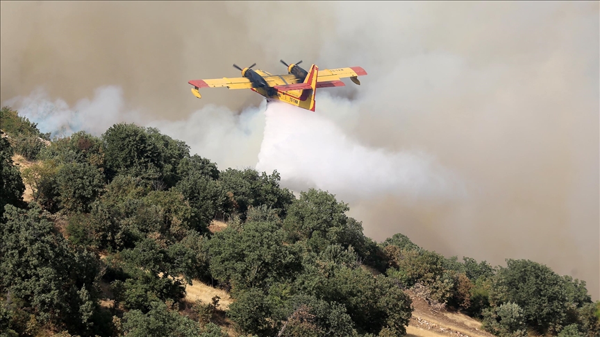 Wildfires across globe leave millions of hectares devastated, force thousands to flee