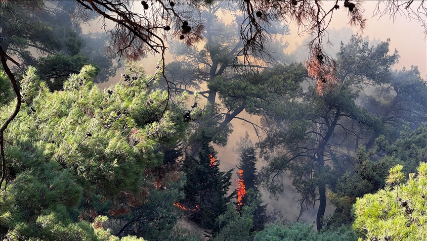 Aerial operations resume as forest fires rage in western Türkiye