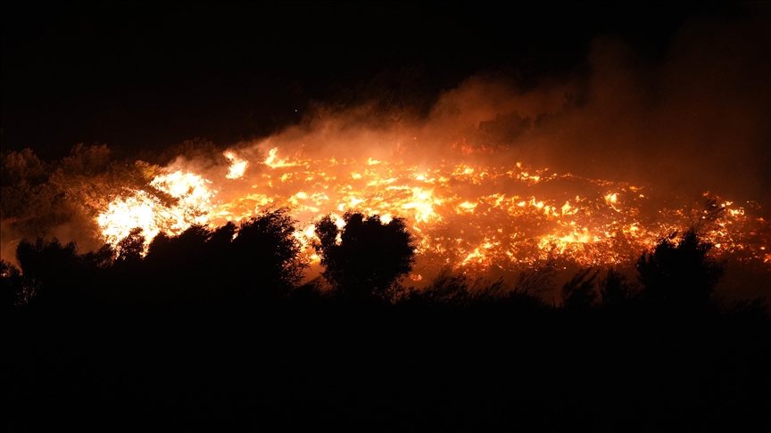 Firefighting efforts intensify as forest fires rage in Türkiye’s western provinces